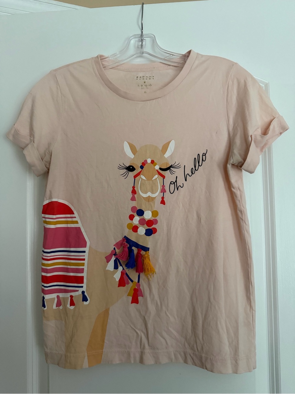 Kate Spade Brooke Street Pale Pink Llama Tee with Colorful Tassels
